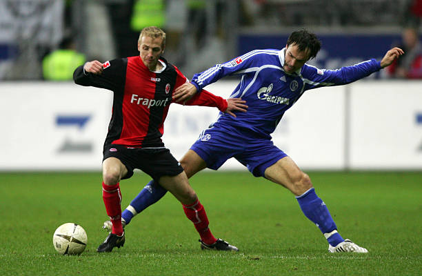 的理性回应 的理性回应