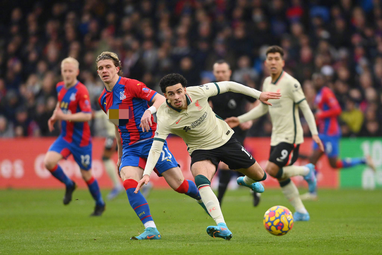 他的两粒进 他的两粒进